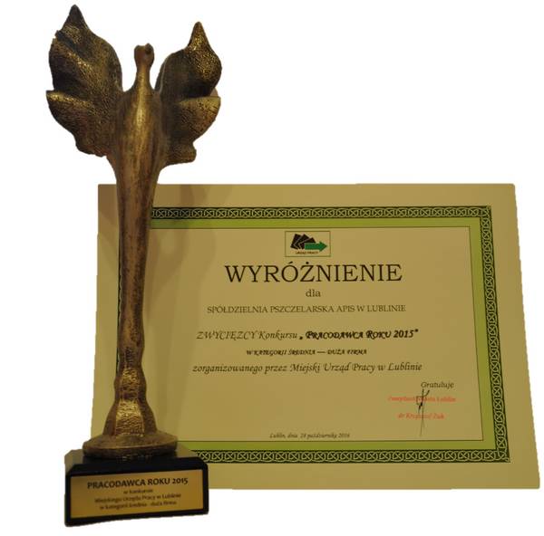 APIS PRACODAWCĄ ROKU 2015!